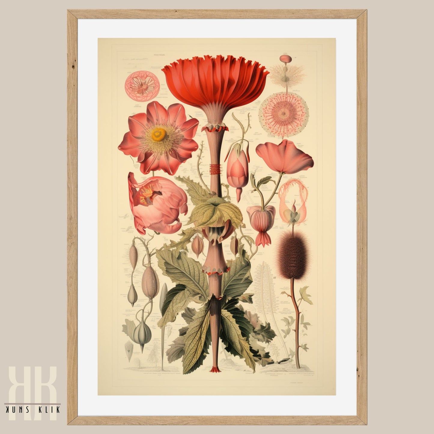 Vintage-Style Flora and Fungi Poster Print