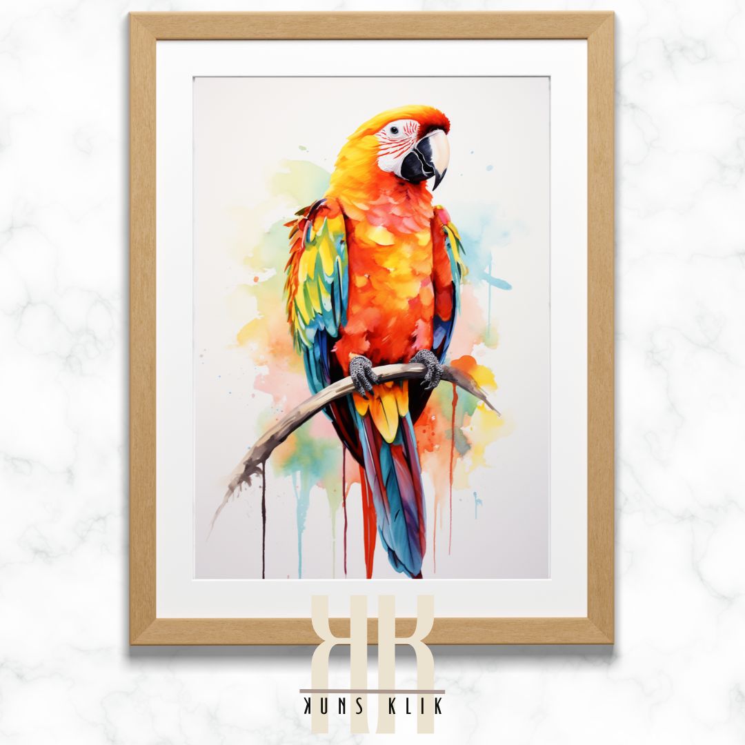 Colourful Macaw Parrot Wall Art