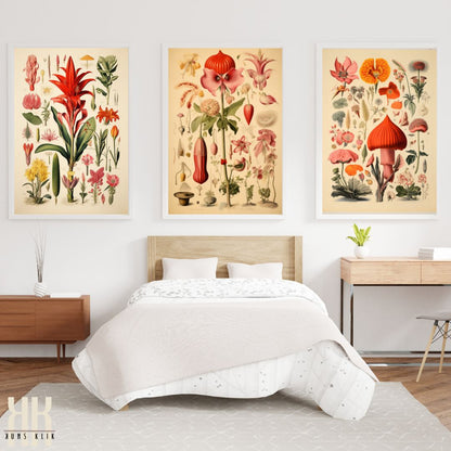 Floral Botanical Scientific Poster Print