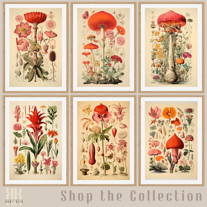 Flora Fauna Botanical Illustration Art Print