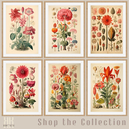 Flora Fauna Botanical Illustration Art Print