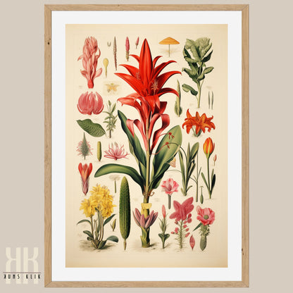 Botanical Surrealism Fine Art Print